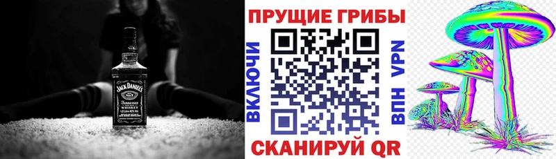 Галлюциногенные грибы Cubensis  Гаврилов Посад 